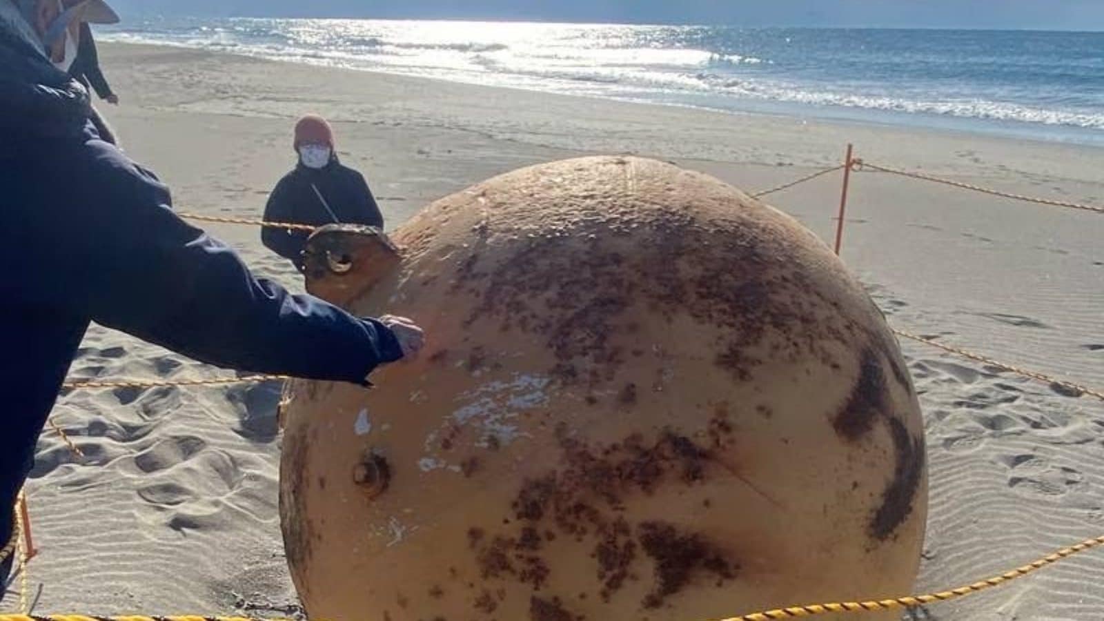 'It's A Buoy': Mystery Behind 'Godzilla Egg' Sized Orb Found at Japanese Beach Solved