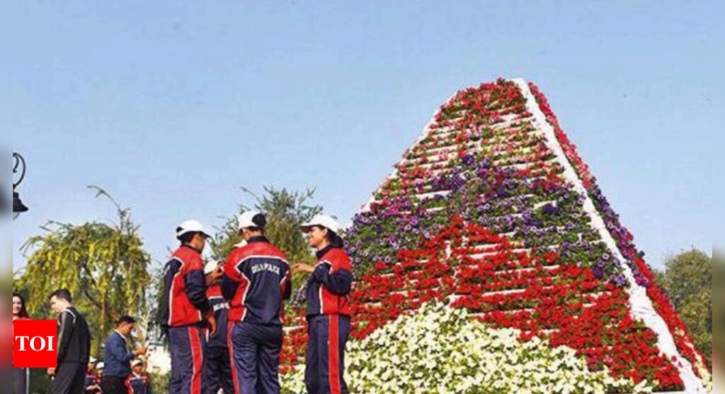 Colours of G20: NDMC goes artistic with flowers | Delhi News