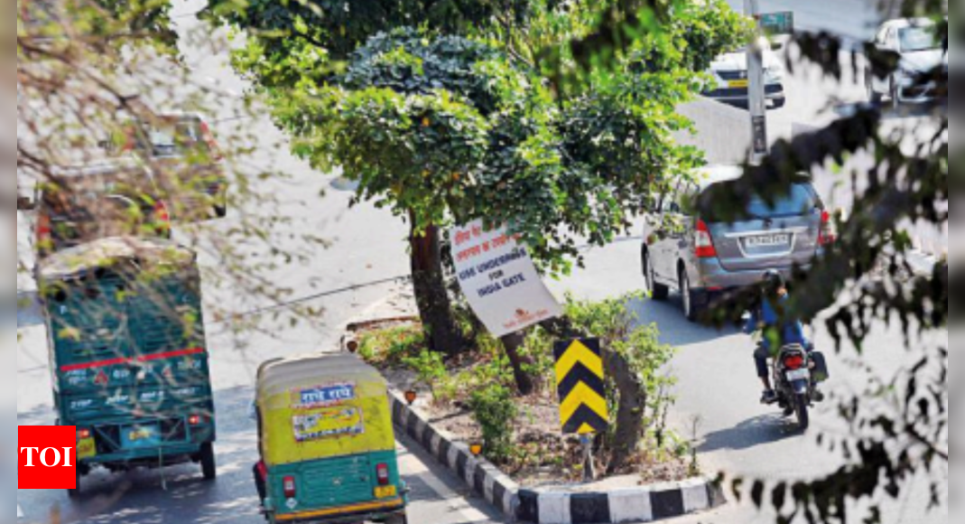 How island of trees poses threat on this key stretch in Delhi | Delhi News