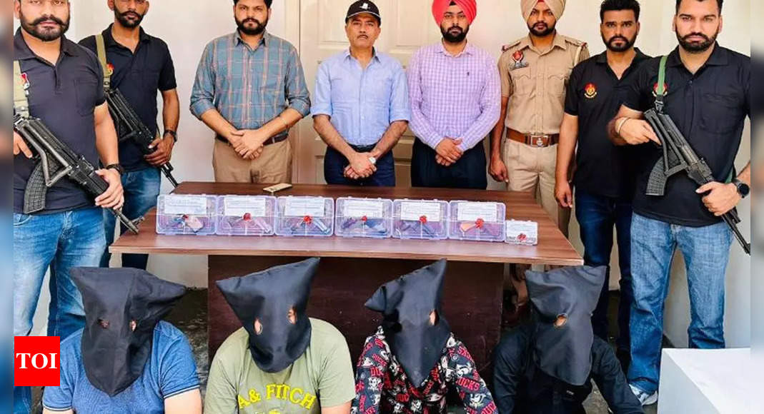 Lawrence Bishnoi News: 4 shooters of Lawrence gang arrested by Punjab police | Chandigarh News
